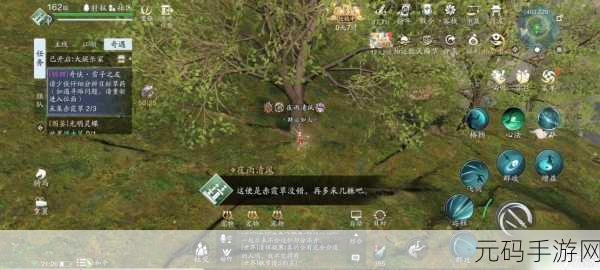 天涯明月刀手游，锦鲤先人秘藏探秘全攻略，秘藏4位置独家揭秘