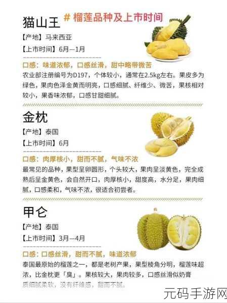8008幸福宝入口榴莲分类专区:1. 探索榴莲的世界:从品种到食用技巧