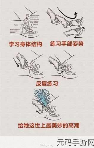 九浅一深和左三右三如何搭配系统迎来新升级:1. 九浅一深与左三右三的完美融合升级之道