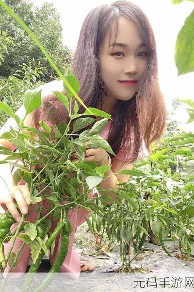 茄子视频ios无限下载免费看:1. 无需付费轻松获取茄子视频,尽享无限精彩