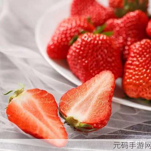 精产国品一二三产品麻豆:1. 精致国品:一二三产品的魅力与创新