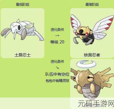 口袋妖怪系列新揭秘,雪童子进化形态全解析