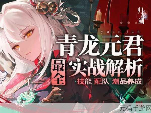 归龙潮，青龙元君养成秘籍大公开