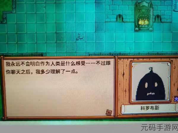 星露谷物语,魅力非凡男角色,你的心动之选