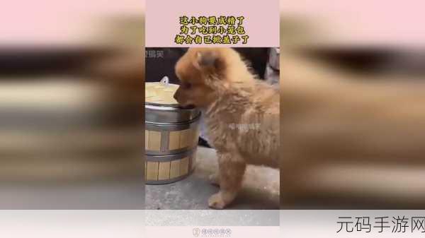 拔萝卜全程不该盖被子:1. 拔萝卜的乐趣:温暖被子与丰收时刻