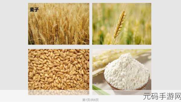 兄弟换麦子4:1. 兄弟情深:共同换麦子的故事
