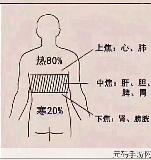 母与子的阴阳调和:1. 母子情深:阴阳调和中的生命之道
