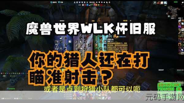 巫妖王之怒生存猎人输出宏：巫妖王之怒：生存猎人全面输出宏技巧解析
