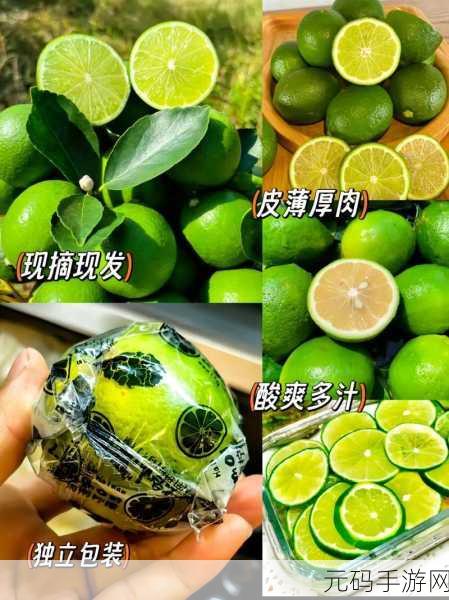 青柠在线观看免费观看高清画质高：1. 高清画质尽享青柠在线视频，轻松看片无压力
