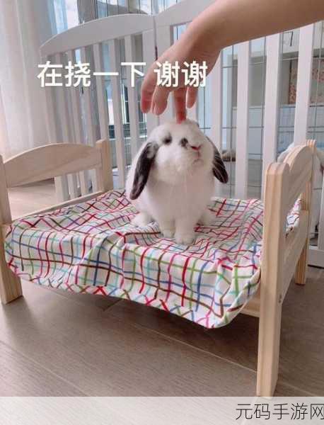 一边揉小兔兔一边舔的感觉APP：1. 《柔软小兔的舔舐乐趣，甜蜜陪伴每一天