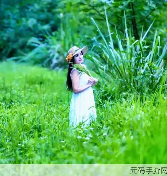 青青河边草高清免费版新闻的制作过程：1. ＂青青河边草：创作背后的故事与制作揭秘