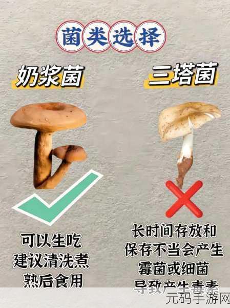 蘑菇视频:1. 《探索蘑菇视频背后的创作故事与灵感