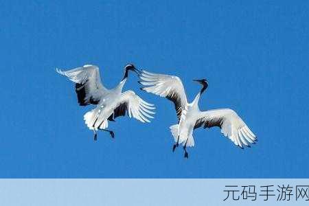 JAPONENSISJAVA1080MV:当然可以!以下是一些基于“JAPONENSISJAVA1080MV”拓展出的新标题建议: