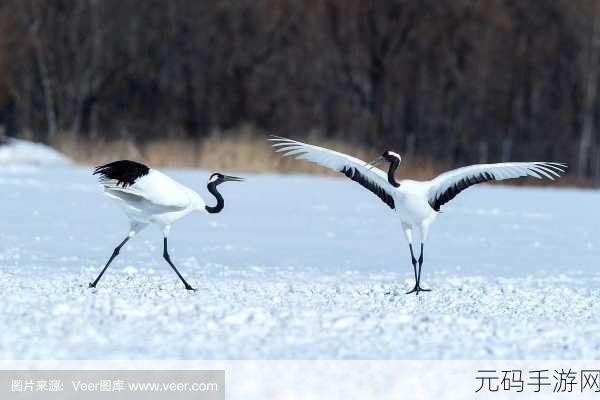 JAPONENSISJAVA1080MV:当然可以!以下是一些基于“JAPONENSISJAVA1080MV”拓展出的新标题建议: