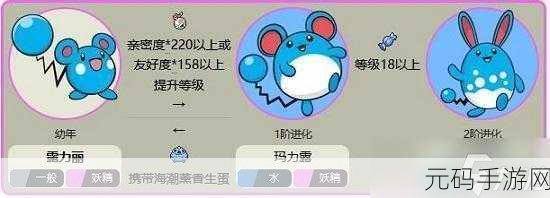 宝可梦朱紫，玛力露进化为玛力露丽的奇妙之旅