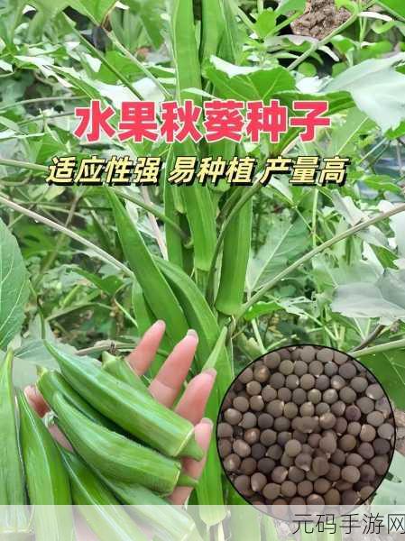 绿巨人秋葵芭乐榴莲丝瓜：1. 五种奇妙水果的美味碰撞：绿巨人秋葵芭乐榴莲丝瓜