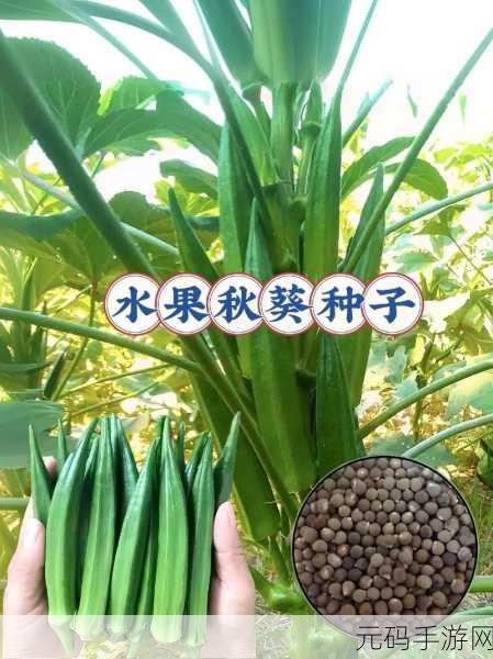 绿巨人秋葵芭乐榴莲丝瓜：1. 五种奇妙水果的美味碰撞：绿巨人秋葵芭乐榴莲丝瓜