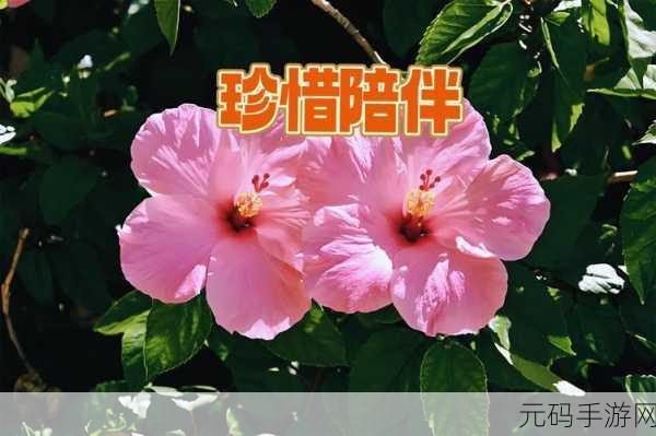 老婆说想找个陌生人试试复合:1. "在陌生人的陪伴中探索复合的可能性