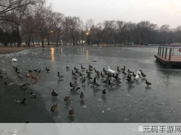 FLUFFINGADUCKKEVINMACLEOD网友直呼:1. 《在鸭子的世界中畅游:一段奇妙的冒险