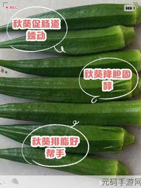 秋葵app下载汅api免费iOS:秋葵app下载汅api免费iOS:畅享无限精彩与便捷体验!