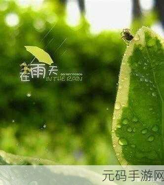 鲛绡帐内一撞一冲的意思:1. 鮟鱇与梦: 闲适夜雨中的撞击与共鸣