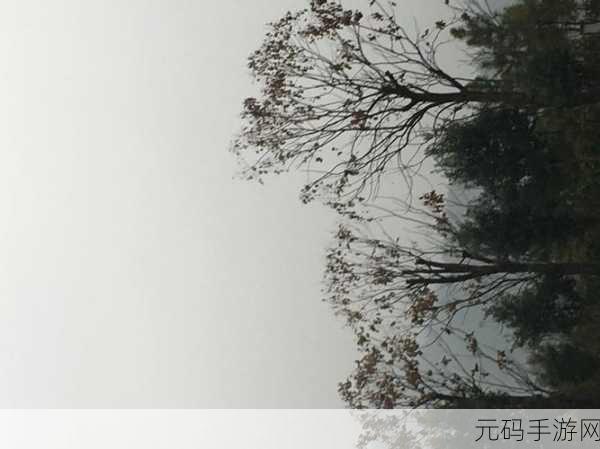 鲛绡帐内一撞一冲的意思:1. 鮟鱇与梦: 闲适夜雨中的撞击与共鸣