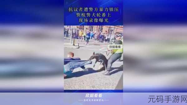 无人区码一码二码三码是什么意思:1. 解密无人区:一码二码三码的深层含义
