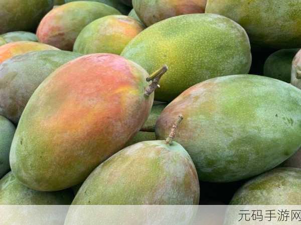 芒果日产一二三四：1. 芒果日产：探索水果与汽车的完美结合