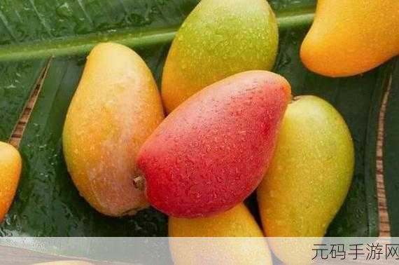 芒果日产一二三四：1. 芒果日产：探索水果与汽车的完美结合