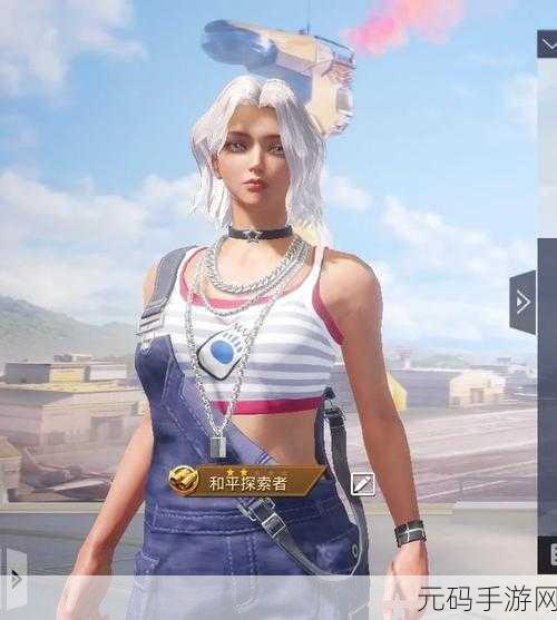 和平精英白熊同盟套装，解锁稀有装扮的独家攻略