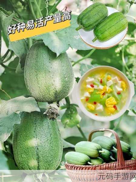 香蕉苹果草莓丝瓜绿巨人：1. ＂水果与超级英雄的奇妙碰撞：香蕉苹果草莓丝瓜绿巨人