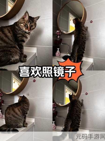 看镜子里我们的结合的地方：1. 镜中映照的我们：探索自我与他人的交融