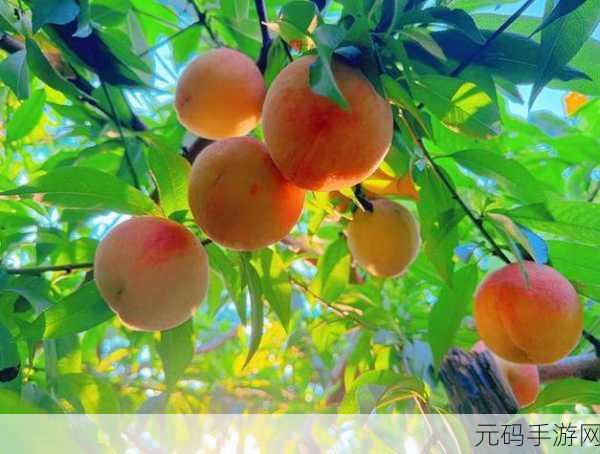 美丽的水蜜桃春潮超清画质提供播放:1. 春日水蜜桃的绚丽盛宴,超清画质尽显美丽