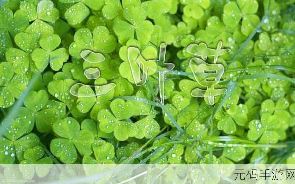 成品网站w灬-源码1688三叶草最新地址来了:1. 三叶草最新源码分享,畅享网站制作乐趣!