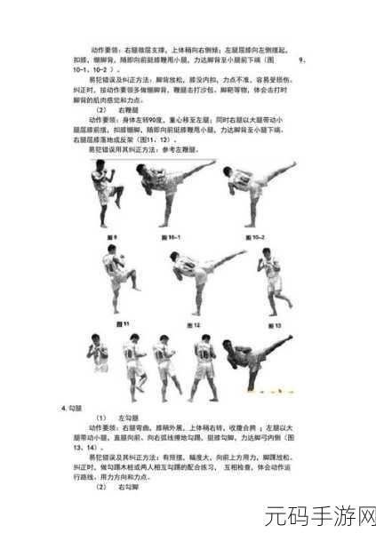 镜流ちゃんが腿法的历史起源：镜流腿法的历史渊源与发展演变探索
