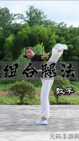 镜流ちゃんが腿法的历史起源：镜流腿法的历史渊源与发展演变探索