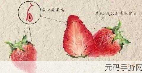 我们平常吃的草莓蚂蚁庄园:1. 草莓与蚂蚁的奇妙冒险
