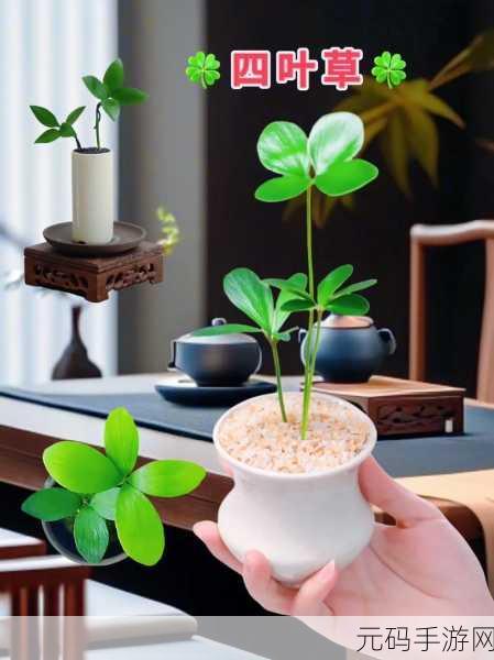 成品人和精品人的区别四叶草心态决定高度:1. 四叶草心态:成品人vs精品人的成功秘诀