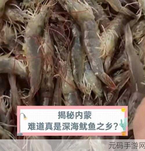鱿鱼b25777直接进入:1. 鱿鱼b25777的深海探险之旅
