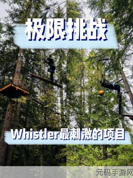精疲力竭的赵敏：1. 赵敏：在极限挑战中找到自我的力量