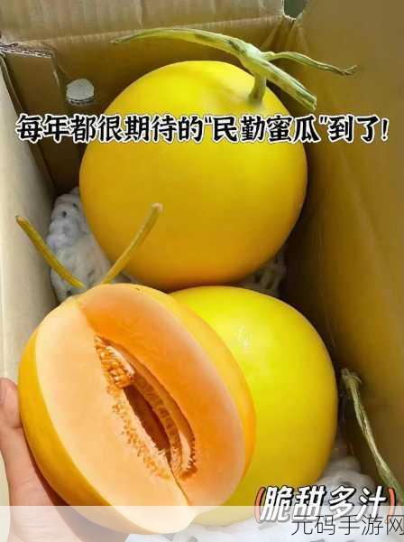 51热门大瓜今日大瓜2024：1. 2024年娱乐圈大瓜盘点：谁将成为新宠？