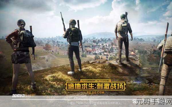 绝地求生刺激战场,探索英文名字的独特魅力