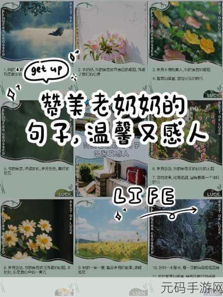 老奶奶bgmbgm人:1. 老奶奶的智慧与温暖:生活的小故事