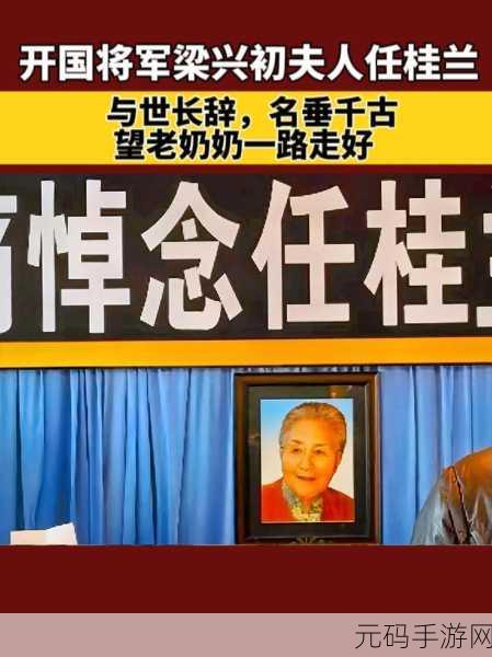 老奶奶bgmbgm人:1. 老奶奶的智慧与温暖:生活的小故事