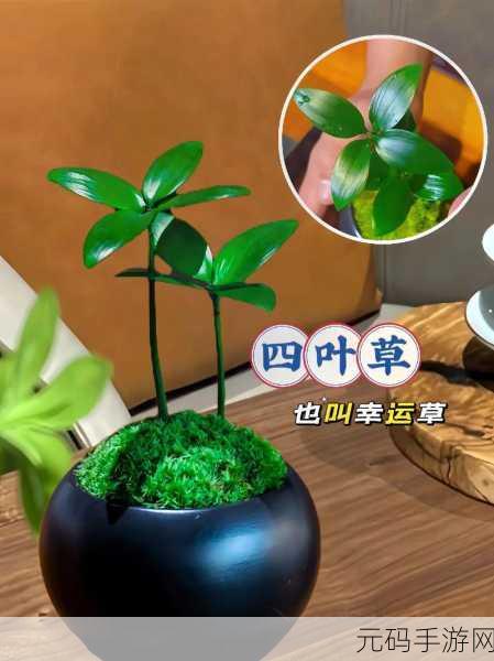 成品人和精品人的区别四叶草主播大量跳槽:1. 四叶草主播:从成品人到精品人的华丽转变