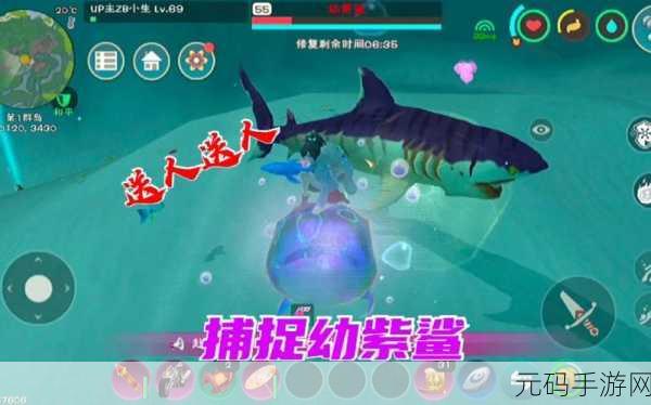 创造与魔法章鱼刺身，解锁海洋美味新篇章