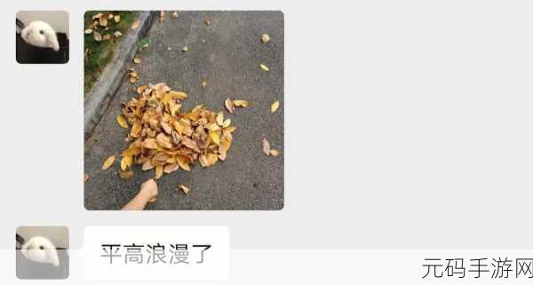 校园绑定JY收集系统宋涵姑父有力挺送的活动意义：1. ＂校园绑定JY收集系统：助力学生全面发展