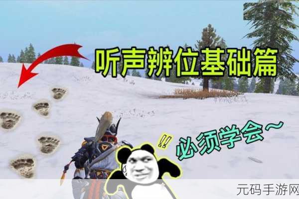 和平精英高手进阶,揭秘听声辨位训练秘境