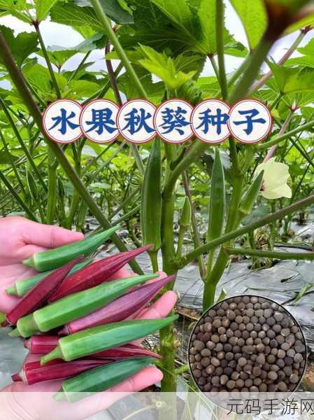 香蕉榴莲秋葵绿巨人WWW:1. 香蕉榴莲秋葵绿巨人的奇妙冒险之旅