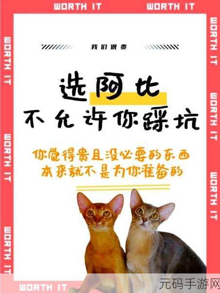 猫影视接口:1. 《神秘猫咪探险:迷失在异世界的奇幻旅程